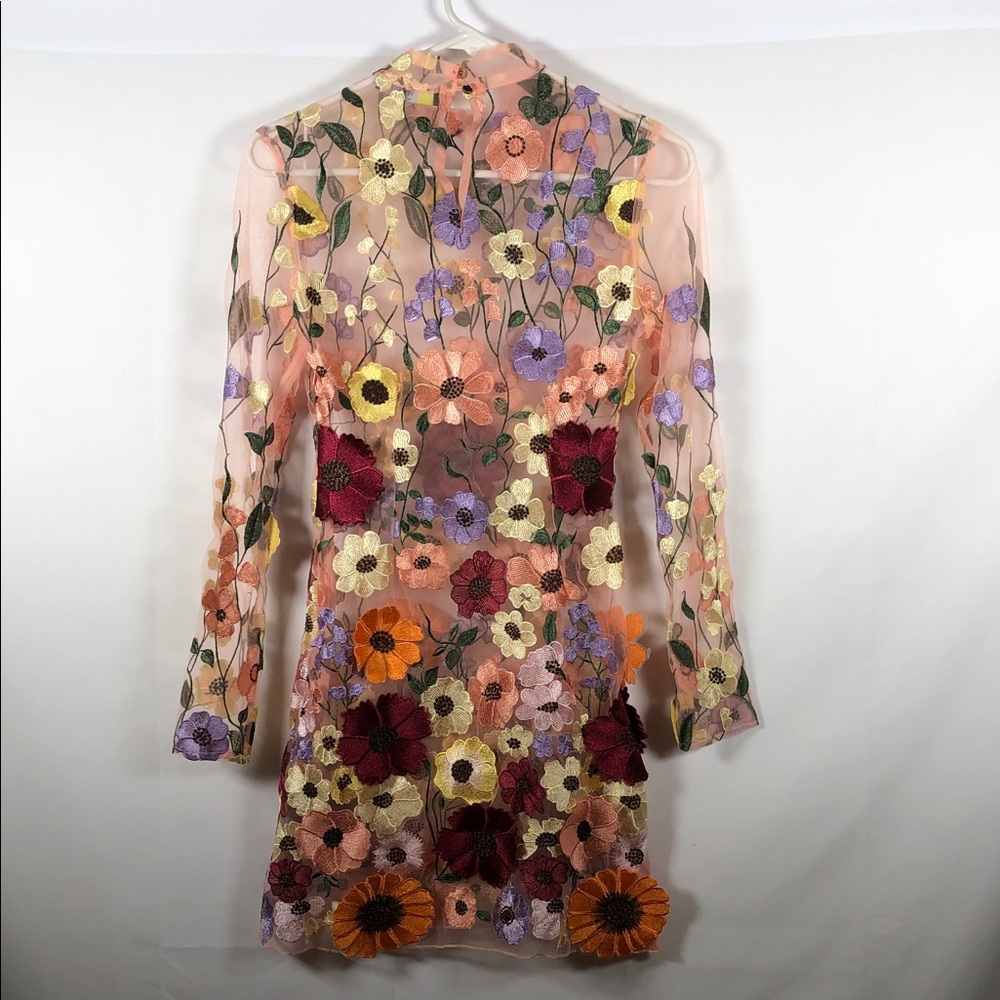 Finesse Sheer Long Sleeve Mini Dress with Fairy Boho Floral Embroidery - Picture 9 of 12